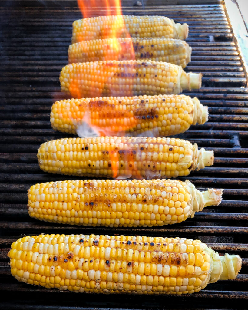 A row of seven nicely charred cobs of corn on a flaming grill. 