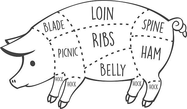 A diagram of a pig, outlining the specific cuts. 