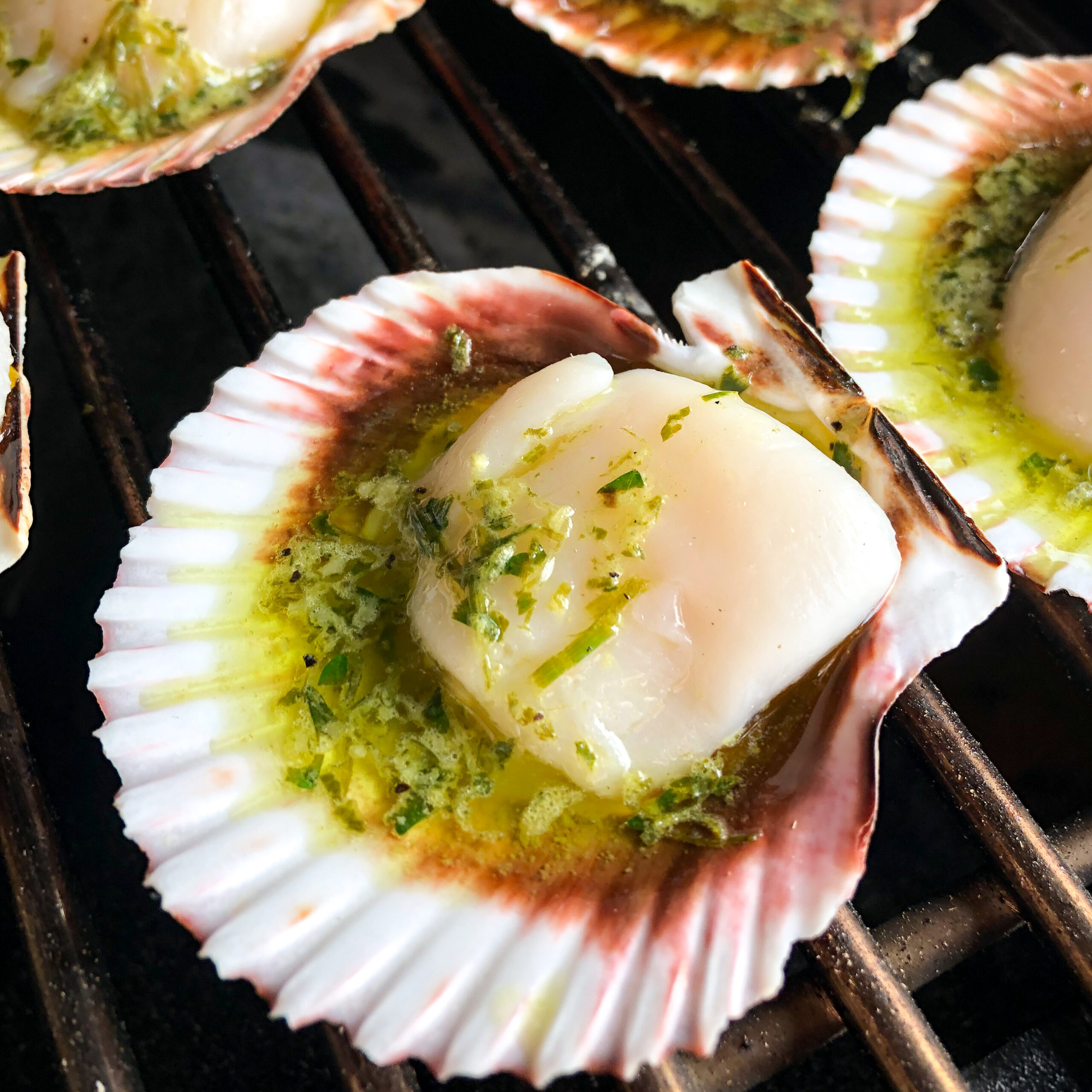 A close up of a scallop in the shell on a grill with an herb butter sauce.
