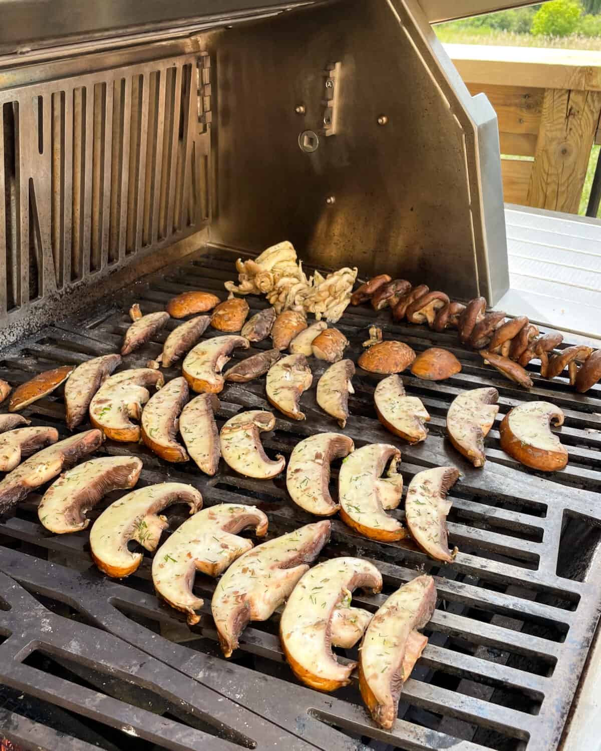 Three types of mushrooms being grilled in rows.