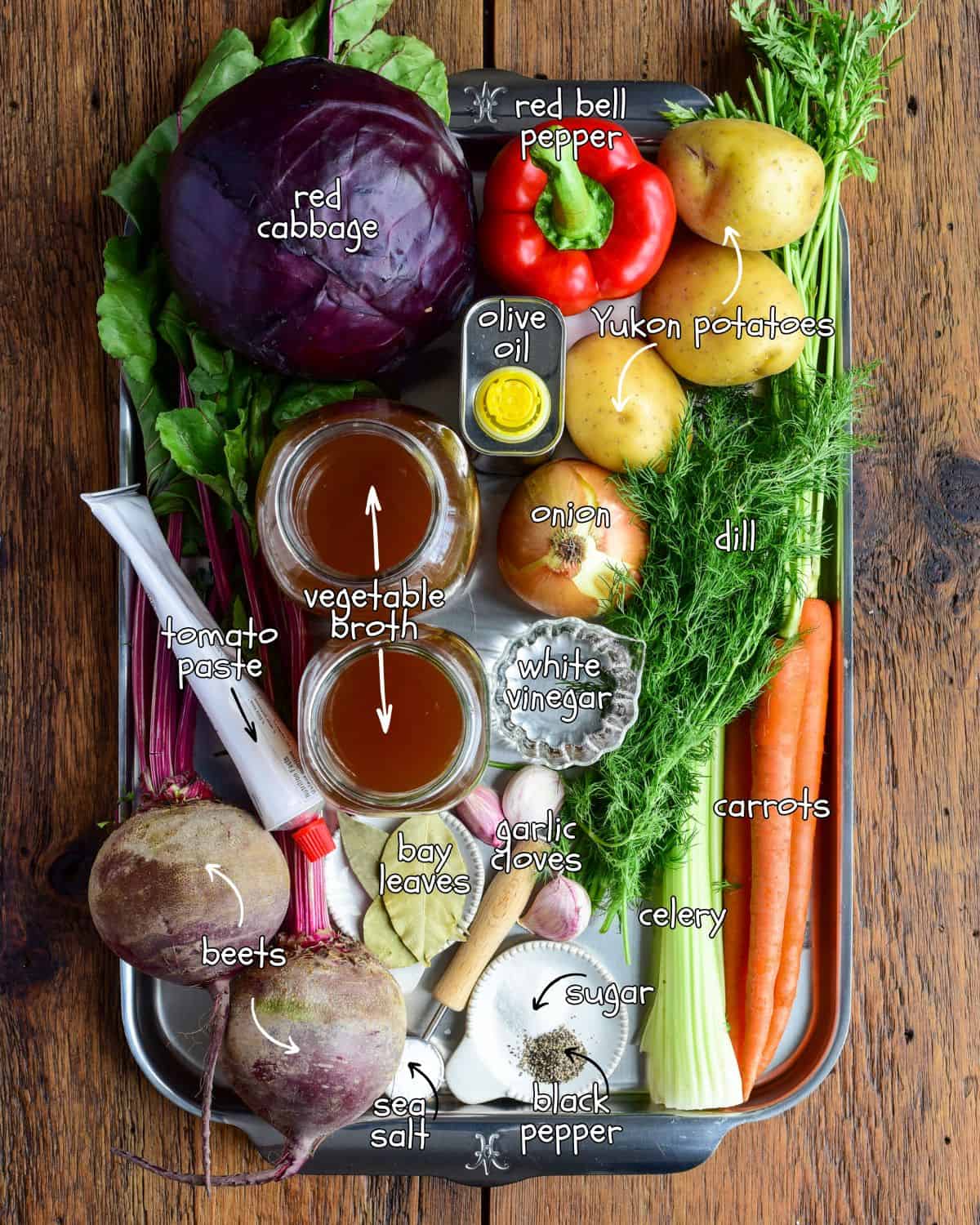 Ingredients laid out for a borscht (beet and cabbage) recipe.