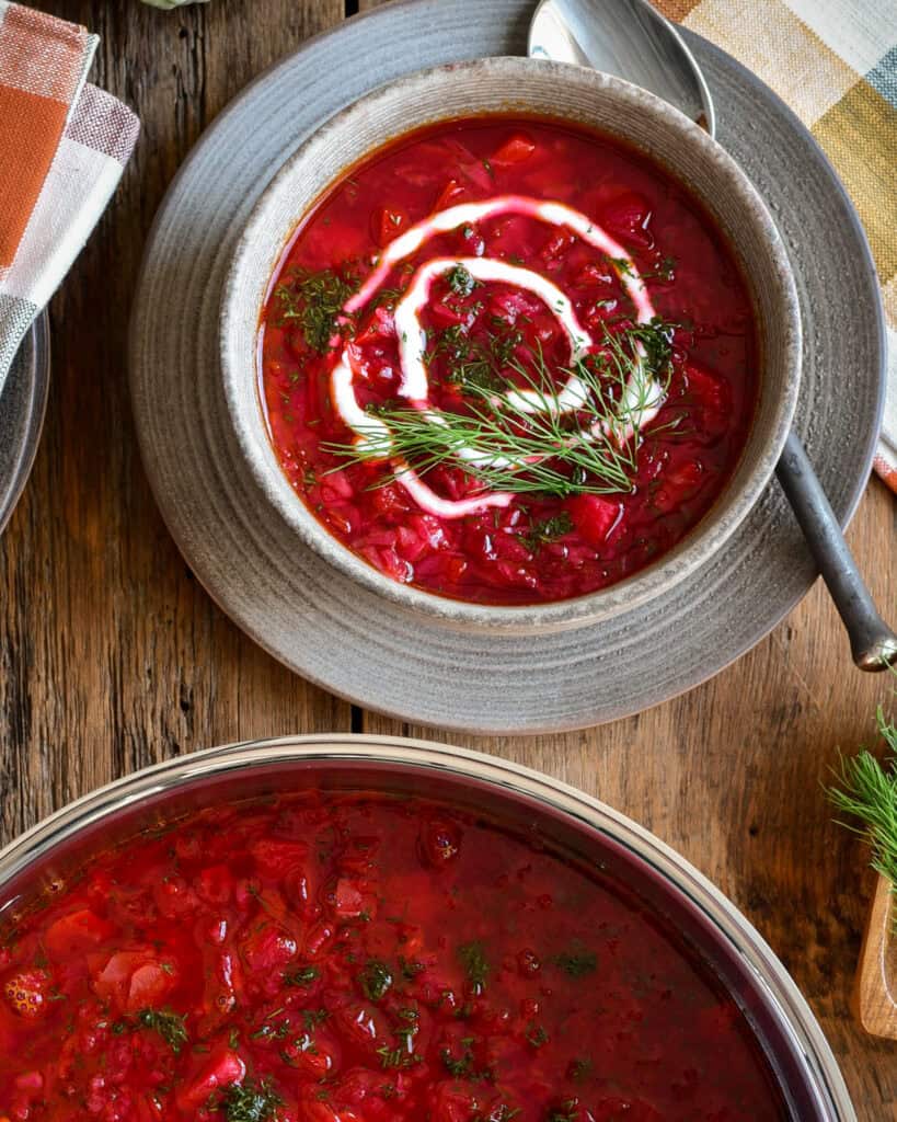 This is a top-down image of a big pot and bowl of borscht topped with a swirl of yogurt and dill on top.