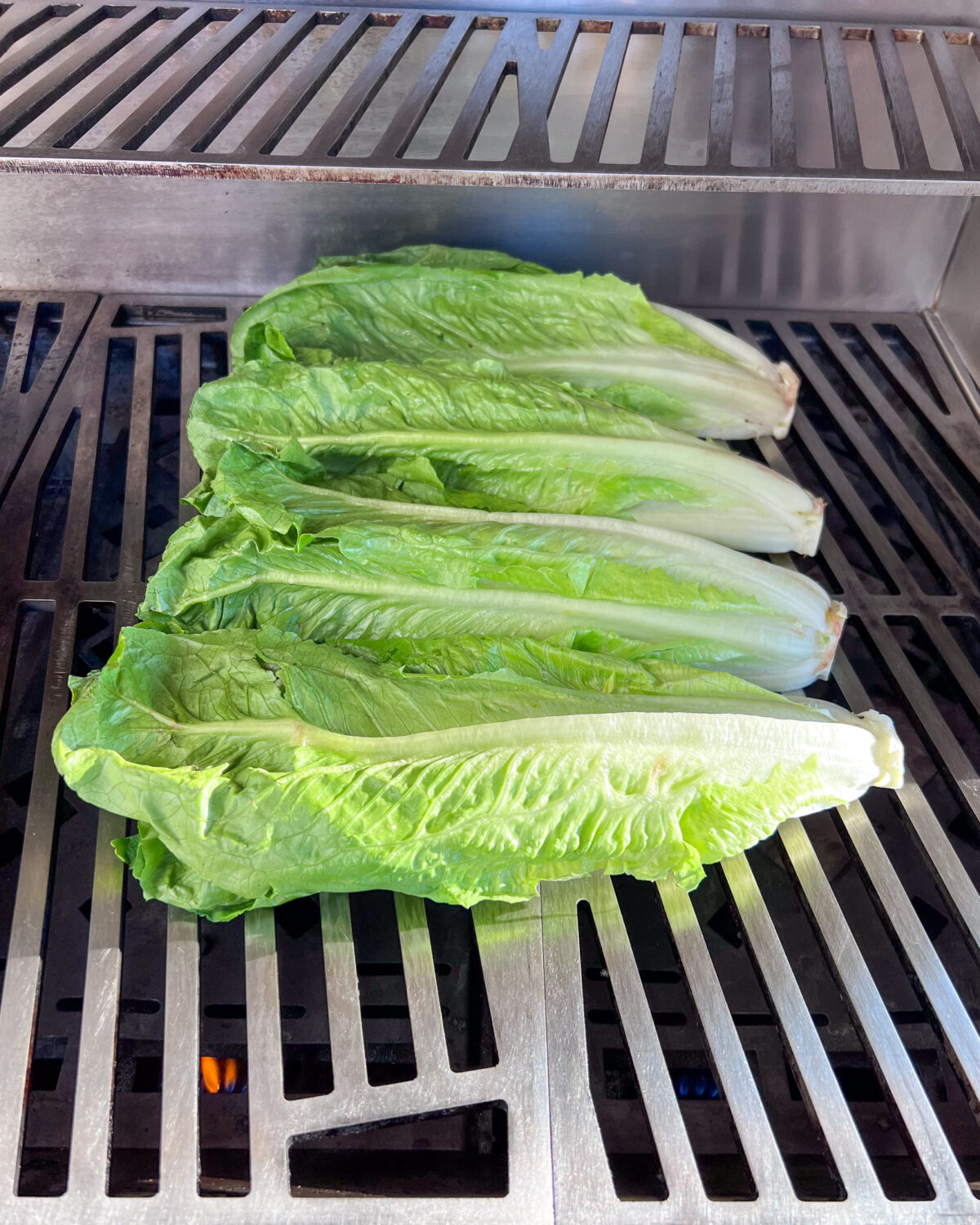 Grilling romaine lettuce, cut side down. 