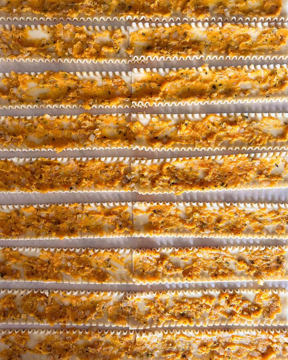 Squash spread on rows of lasagna.