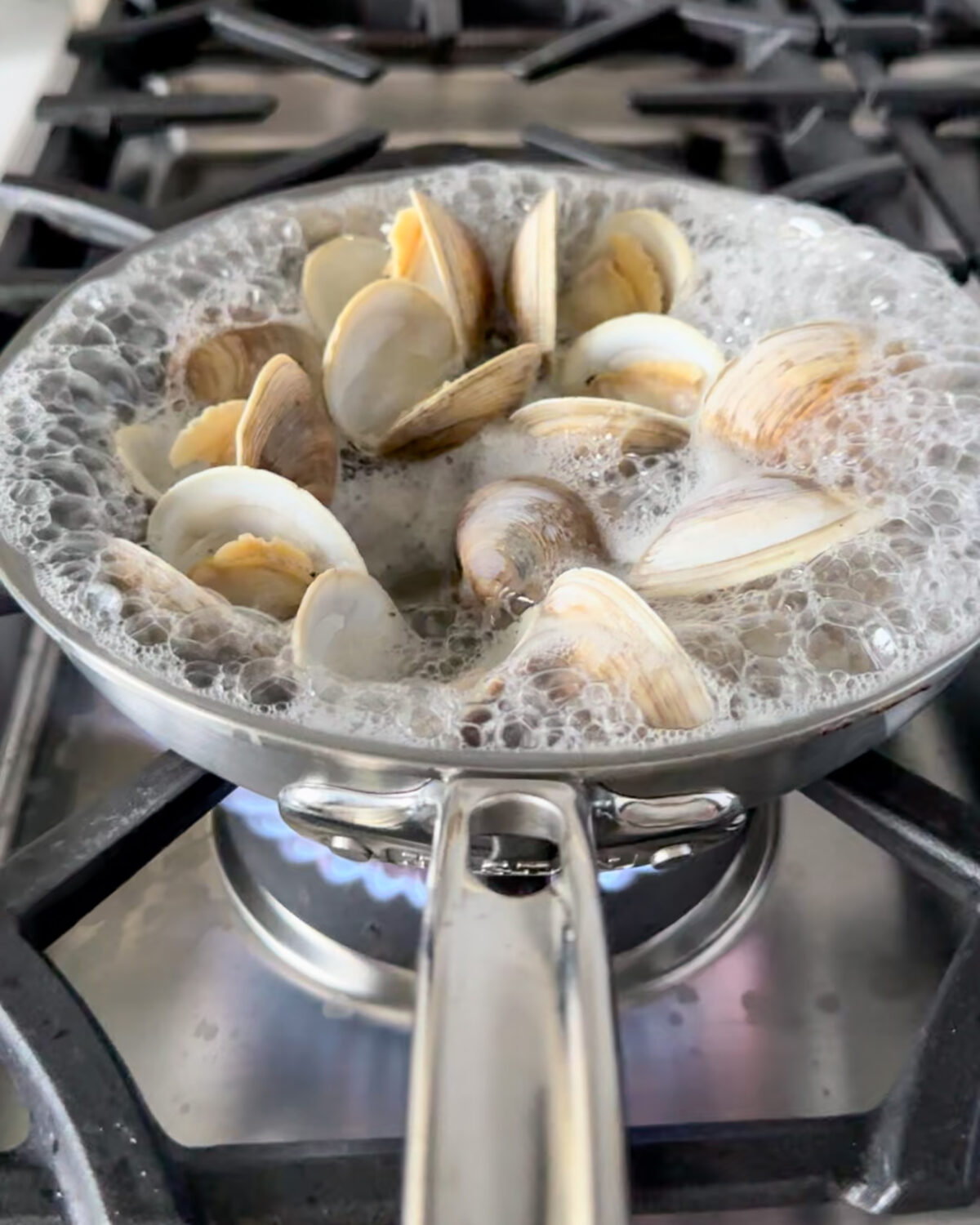 Steam the clams in white wine or water.