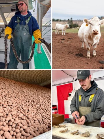 Discover Canada’s Food Island - Oyster, Mussel, Potato and Beef farming