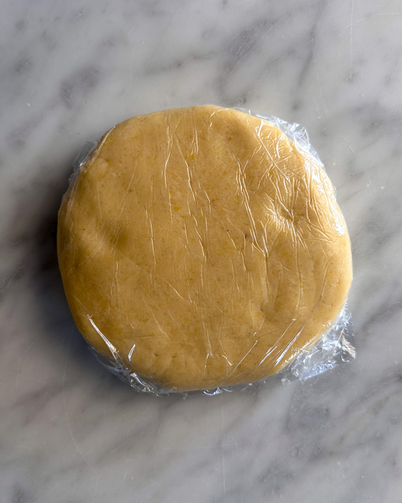 Shape the dough into a thick disk, wrap it in plastic, and refrigerate it.