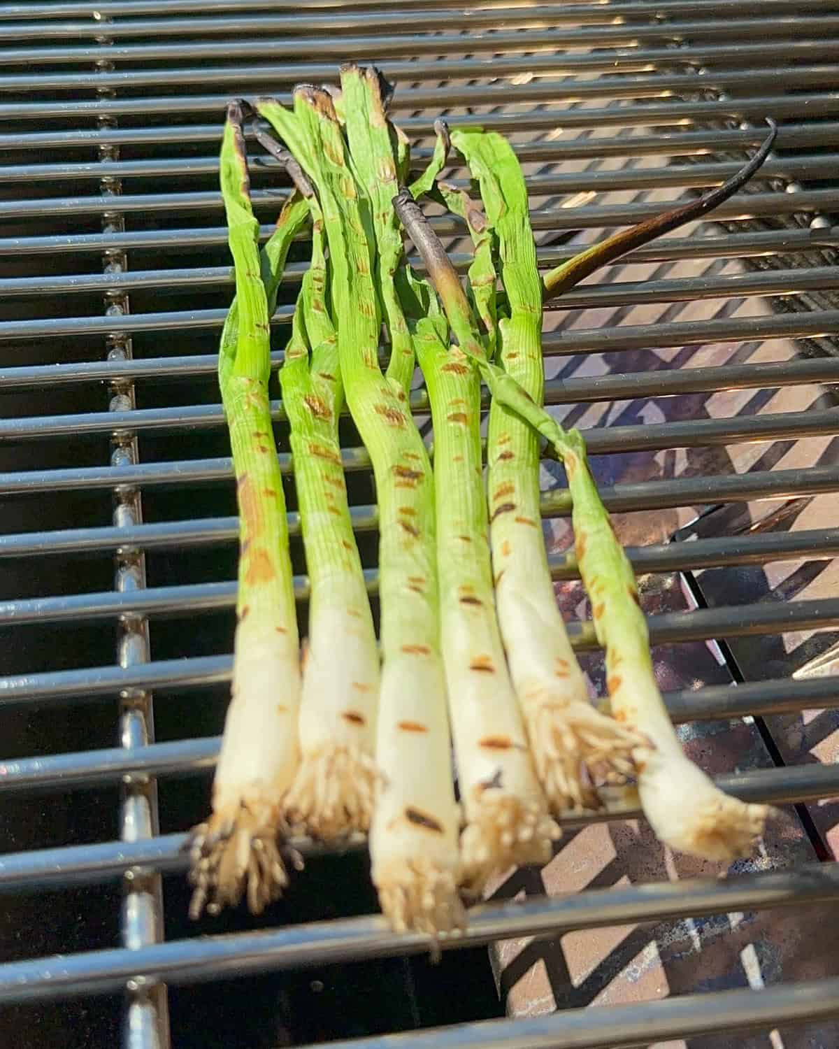 Scallions (green onions) on a grill with grill marks.