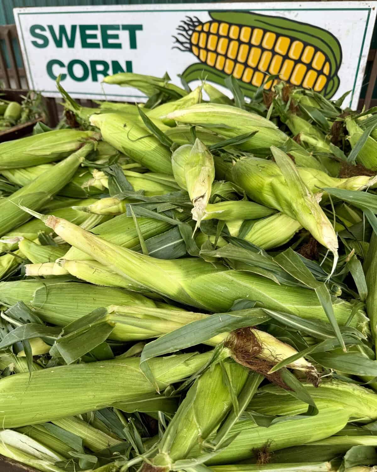 A fresh corn sign at a farmers market with a pile of corn.