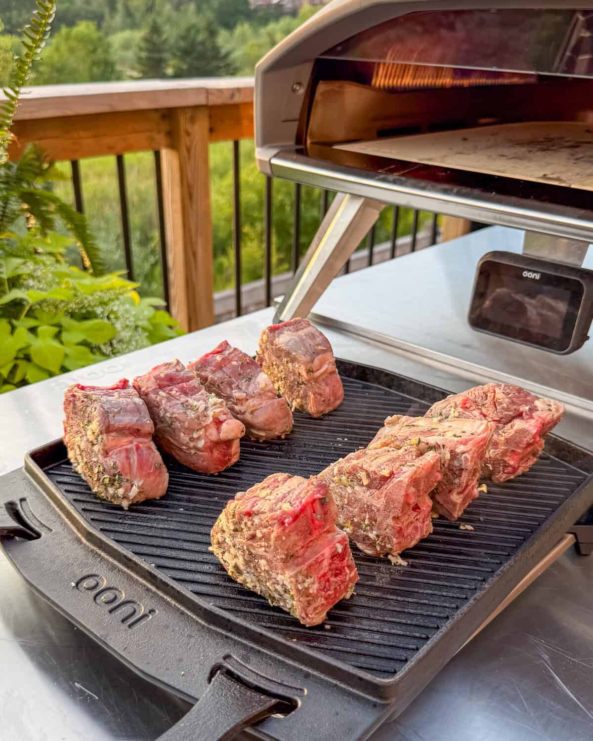 Eight baby lamb chops on a griddle on their sides, about to go into the Ooni oven.