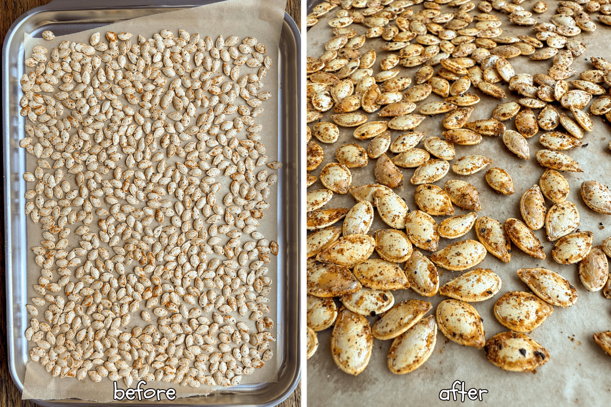 Spicy Roasted Pumpkin Seeds with Paprika, Cayenne & Garlic Spicy Roasted Pumpkin Seeds with Paprika, Cayenne & Garlic  - before and after roasting.