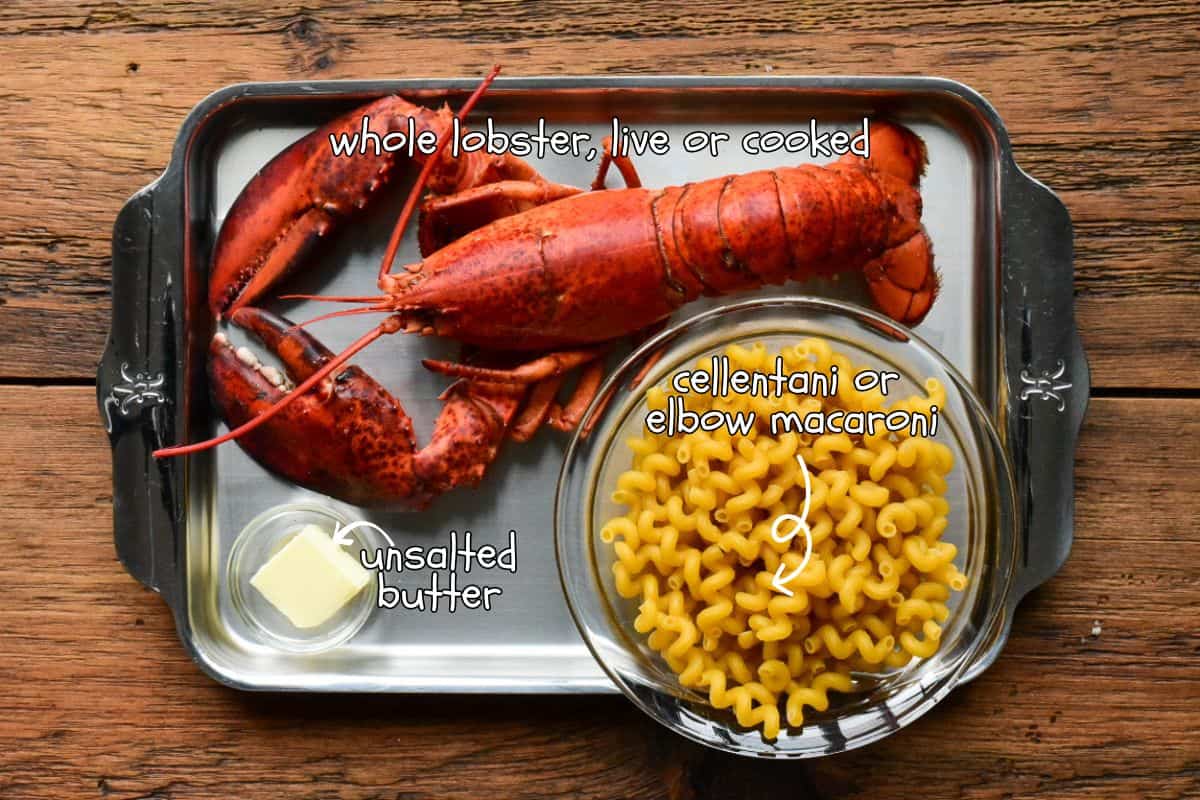 Lobster and pasta ingredients.
