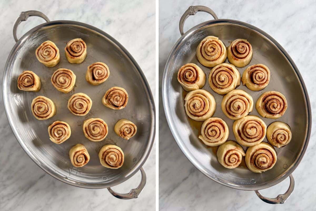 Place cut rolls into the pan and let rise for a second time. 